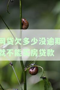 网贷欠多少没逾期就不能买房贷款
