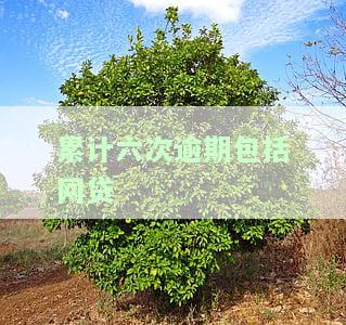 累计六次逾期包括网贷