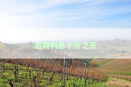 逾期利息0.05%：如何有效避免及处理逾期还款问题