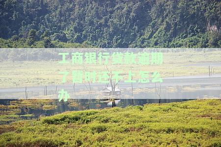 工商银行贷款逾期了暂时还不上怎么办，是否有补救措？