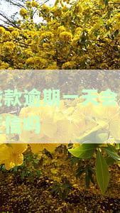 农村商业银行贷款逾期一天会上征信吗及其影响