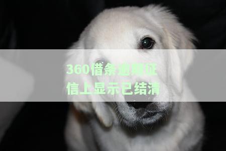 已结清，上传征信时间及结清凭证要求