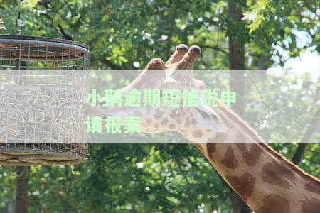 小鹅花钱逾期短信威胁要走法律程序