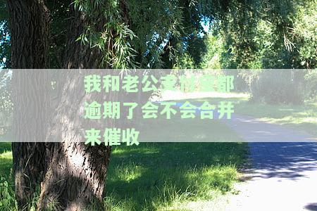 我和老公支付宝都逾期了会不会合并来催收