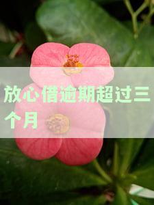 放心借逾期超过三个月