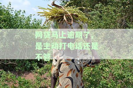 网贷马上逾期了,是主动打电话还是不管
