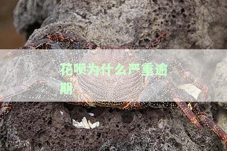 花呗为什么严重逾期
