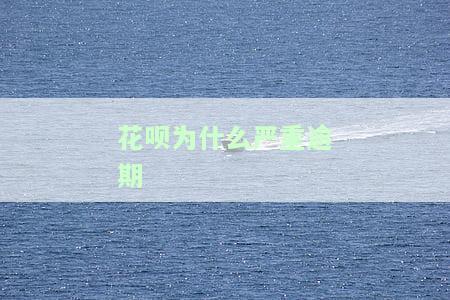 花呗为什么严重逾期