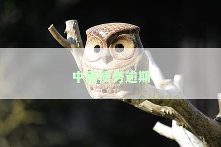 中国债务逾期