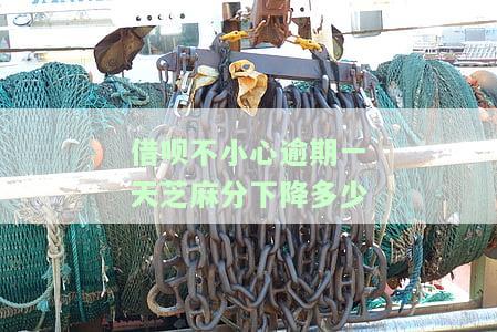 借呗不小心逾期一天芝麻分下降多少