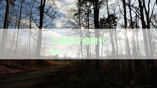 工商银行逾期90天,可以申请还最低不，逾期90天以上可以先还本金吗，逾期了还能最低还款吗，逾期了1年了可不可以还5000下个月在还5000