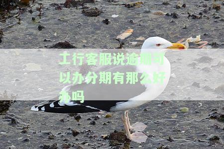 工行分期还款期会上征信吗及如何处理？