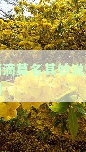 滴滴逾期30天发短信申请仲裁，该消息真实吗？应如何应对滴滴逾期30天发短信申请仲裁？滴滴逾期30天发短信申请仲裁意味着什么？滴滴金融逾期发短信寄律师函真假？