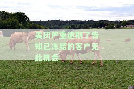 美团严重逾期了告知已冻结的客户无此机会
