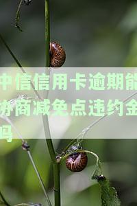 中信信用卡逾期能协商减免点违约金吗