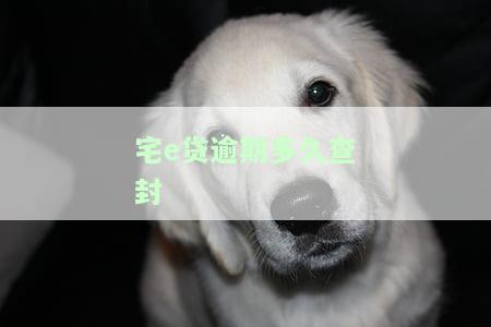 宅e贷结清后多久出再次动用及相关流程