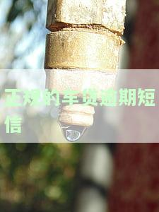 正规的车贷逾期短信