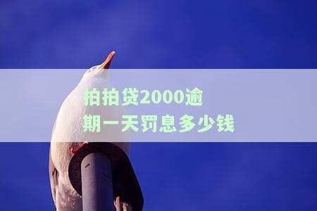 拍拍贷2000逾期一天罚息多少钱