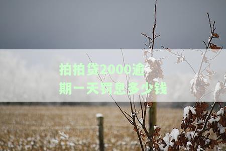 拍拍贷逾期一天利息25块多这个合理吗，安全吗？能协商逾期费用吗？