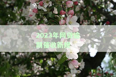 2023年网贷逾期催收新规定是什么