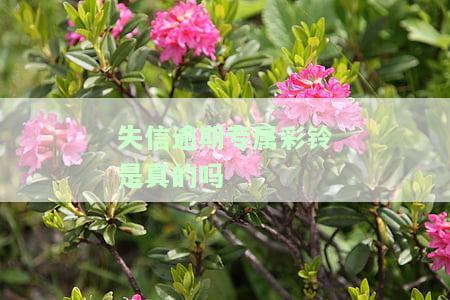 失信逾期专属彩铃是真的吗