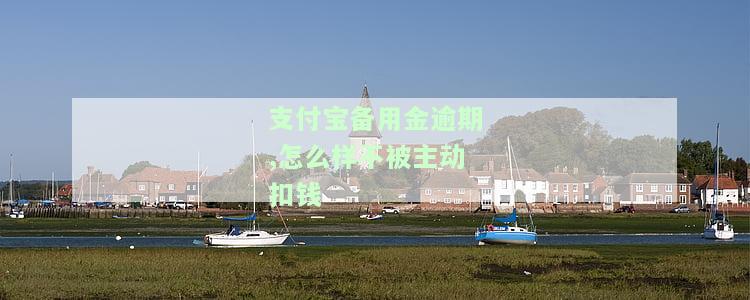 支付宝备用金逾期被关闭了怎么还款及恢复途径?