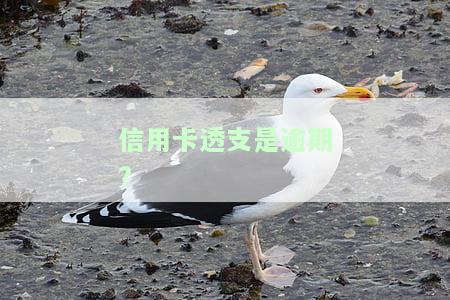 信用卡透支是逾期?