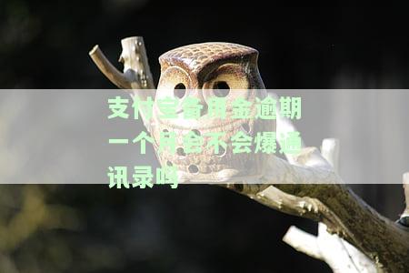 支付宝备用金逾期两个月会爆通讯录吗？怎么办？后果如何？