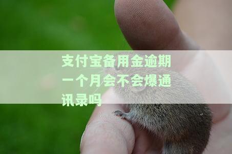 支付宝备用金逾期一个月会不会爆通讯录吗