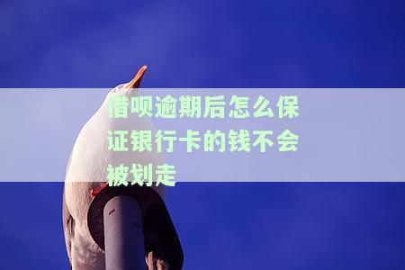借呗逾期后怎么保证银行卡的钱不会被划走呢