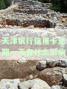 天津银行信用卡逾期一天的影响及相关电话