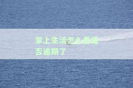 掌上生活怎么看是否逾期了