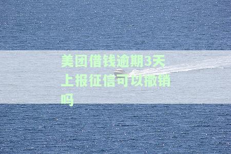 美团借钱逾期3天上报征信可以撤销吗