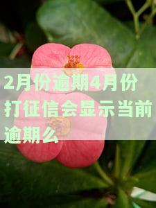 2月份逾期4月份打征信会显示当前逾期么