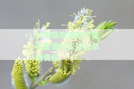 公司贷款逾期几天算不良记录，影响征信公司及应对措