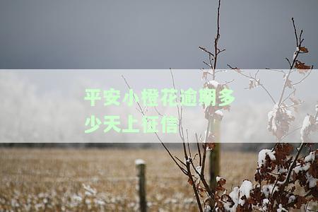 平安小橙花逾期会爆通讯录吗？逾期多久上征信，一天就催收，不还会怎么样？