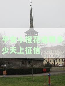 平安小橙花逾期多少天上征信