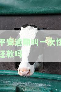 平安逾期叫一次性还款吗