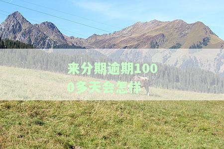 来分期逾期1000多天会怎样