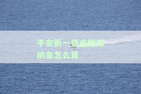 平安新一贷逾期滞纳金怎么算