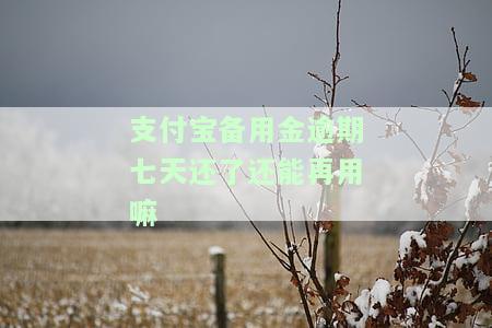 支付宝备用金逾期7天后能否使用并恢复。