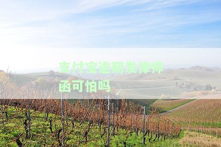 支付宝逾期发律师函可怕吗是真的吗，如何应对？