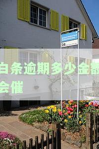 白条逾期多少金额会催