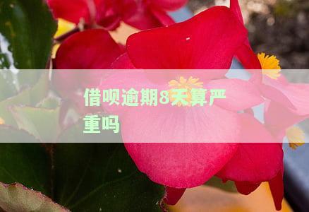 借呗逾期8天算严重吗
