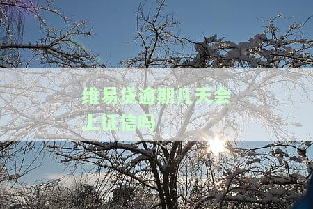 维易贷逾期几天会上征信吗，怎么办？维易贷怎么样？