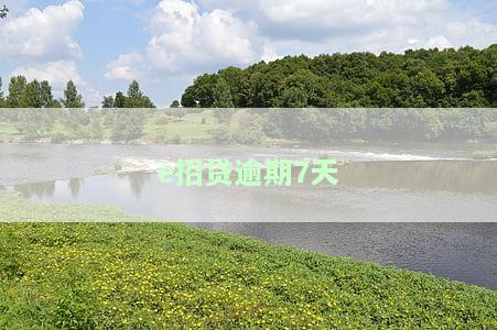 e招贷逾期7天