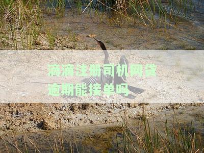 滴滴注册司机网贷逾期能接单吗安全可靠，并有何后果？