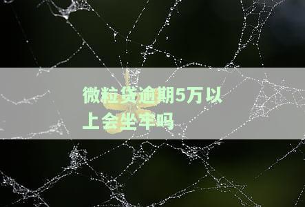 微粒贷逾期5万以上会坐牢吗