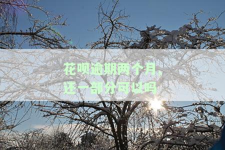 花呗逾期俩个月还了还能继续用吗还有额度吗安全吗，花呗逾期了两个月还了多久才可以使用