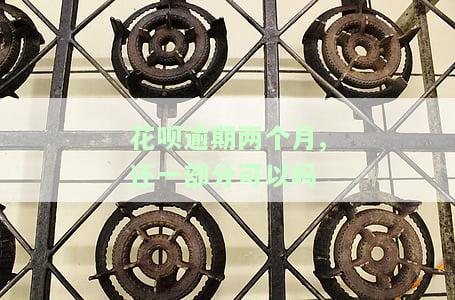 花呗逾期两个月还了之后还了影响征信吗，怎么办？